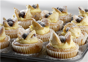 Blueberry Butterfly Cup Cakes