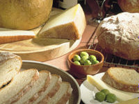 Italian Pugliese