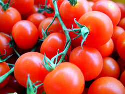 Double Tomato Focaccia